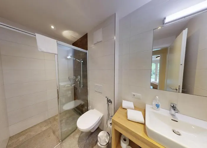 Kitzsteinhorn -summercard Included Lejlighed *