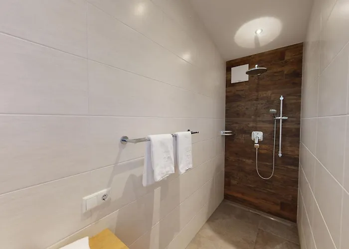 Kitzsteinhorn -summercard Included Lejlighed *